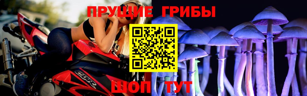 Кандалакша  Галлюциногенные грибы прущие грибы  Вход с VPN 